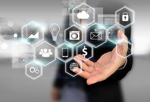 所志國軟文寫作案例 不靠廣告靠口碑，誠信服務(wù)成就電子商務(wù)新典范